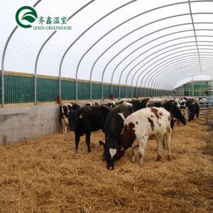 China Automatic Controlling Box Aquaponics Film Greenhouse for Animals Growing Tent Customizable Size supplier