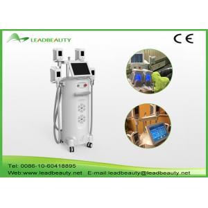 China hot cryolipolysis vacuum body fat freezing slimming machine with 4 handles supplier