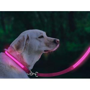 China Eco Friendly LED Glow In The Dark Dog Leash Weatherproof Available In 5 Colors supplier