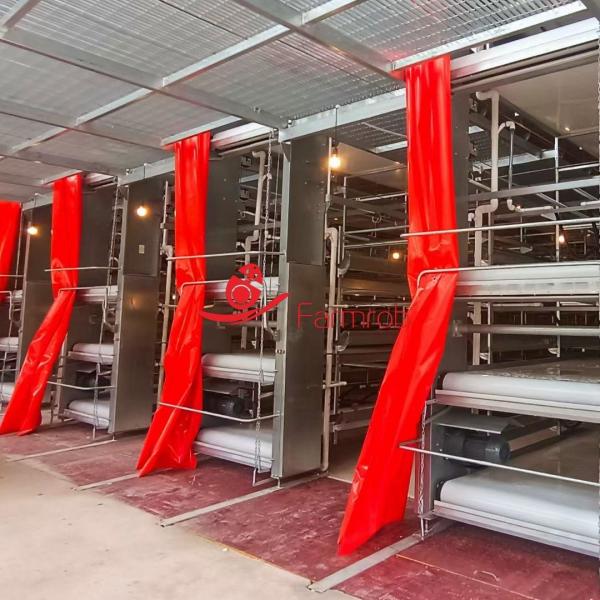 Anti-Aging Stable Operation Poultry Manure Removal System Rust Resistance