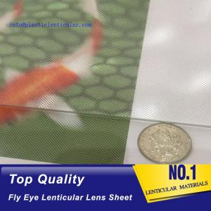 PLASTIC LENTICULAR fly eye 3d lenticular microlens array dot imaging cylindrical microlens array PS microlens array