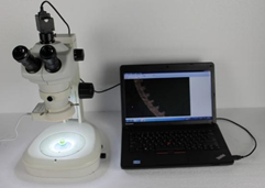 China HSM-645S Digital Stereoscopic Microscope with 3MP Camera on sale