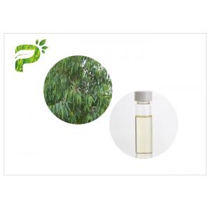 Eucalyptus Globulus natural plant oils 8000 48 4 Colorless to light yellow liquid