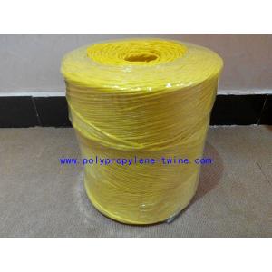 China 22500D Colorful Twisted Banana Hay Baling Twine Polypropylene String Free Sample supplier