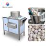 China Garlic splitting machine minced garlic processing production Line wholesale