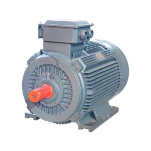 IP55 LV Squirrel Cage Motor Asynchronous 380v Electric Motor Winding Wire