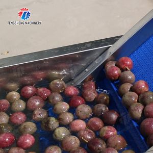 China Fruit orange pommes de terre wholesale