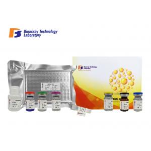 CORT Sandwich Immunoassay Porcine ELISA Kit 96 Wells Size With Strong Sensitivity