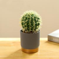China Plastic Small Potted Artificial Flowers Faux Potted Cactus Plant Odm on sale