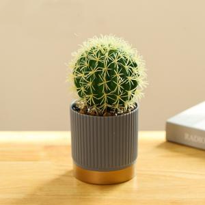 Plastic Small Potted Artificial Flowers Faux Potted Cactus Plant Odm