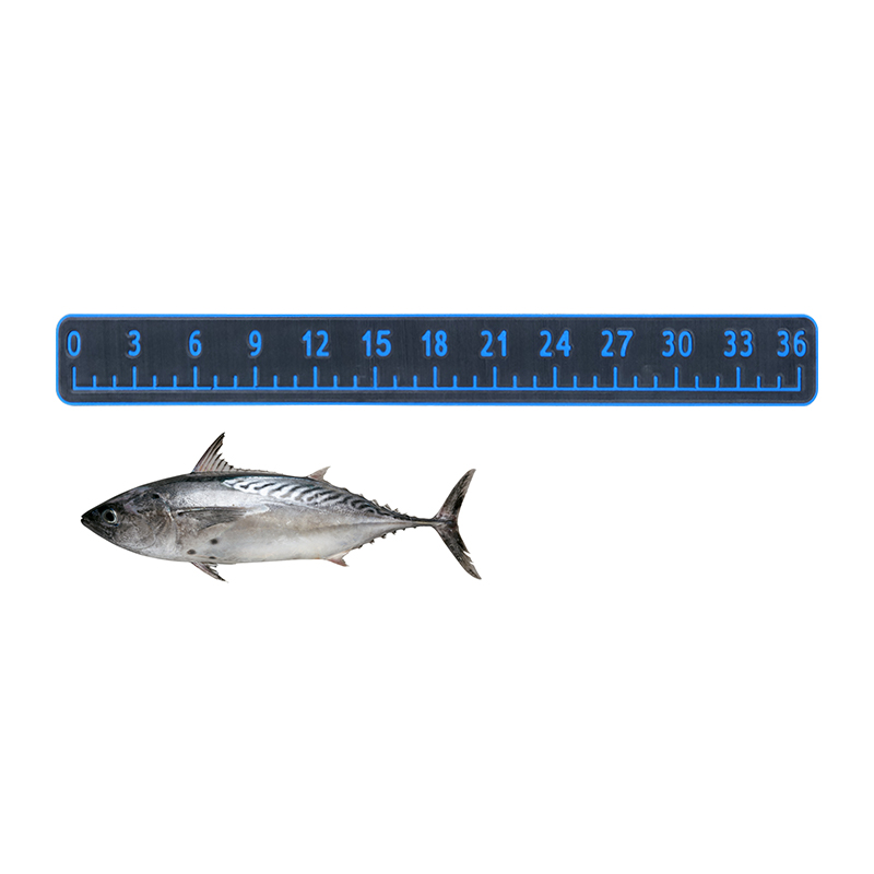 Black And Blue EVA Foam Fish Ruler 36 Inch Water Resistance For Marine Decking
