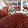 China Industrie SUS304 Chili Drying Systems automatique pour le traitement des denrées alimentaires des produits alimentaires wholesale