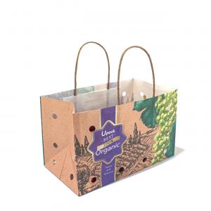 China Brown / White / Customized Fruit Paper Bags With Paper Twist Rope Handle supplier