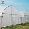 China Custom Tomato Greenhouse with Drip Irrigation and LED Grow Lights wholesale