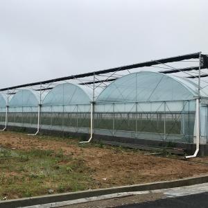 Customizable Temperature-Controlled Greenhouse for Large-Scale Plant Cultivation