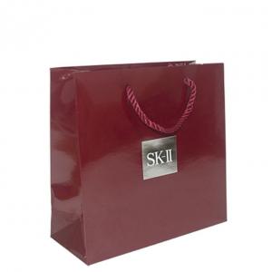 China Luxury Premium Middle Paper Gift Bags For Shopping Recycled Paper Bag supplier