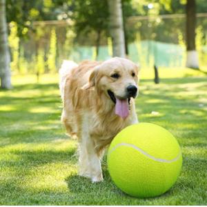 9.5 Inch Rubber Dog Tennis Ball With Inflating Needles