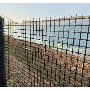 China Road Reinforcement Biaxial Geogrid with and Tensile Strength in Chinese Design Style supplier