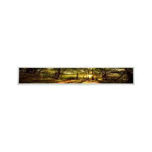 China LSI290LN01 29 módulo da exposição de TFT LCD LCM do um-si da polegada supplier