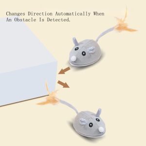 China Force-Free Training GPS Tracking Agility Training Interactive wholesale