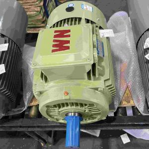 415V AC Induction High Efficiency Electric Motor For Sugar Compressor