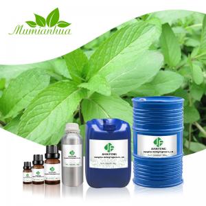 10ml 100% Pure Peppermint Oil Bulk Peppermint Essential Oil Extraction