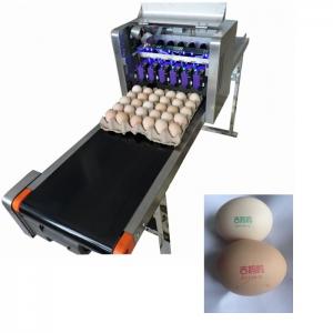 China Free Upgrade Egg Batch Code Printing Machine With USB Flash Drive Internal Storage supplier