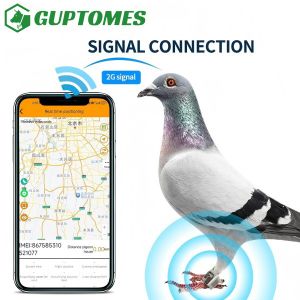 China Geo Fence Pigeon GPS Tracking Device Waterproof With Flight Path Historical Trajectory wholesale