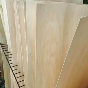 Poplar Wood Rotary Cut Veneer ISO9001 Oak Smooth Furniture Facing