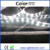 China Built-in IC APA102 Digital Pure White Color LED Strip wholesale