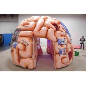 Inflatable Brain Model Tent Inflatable Medical Conferences Exhibitions - Mega Brain