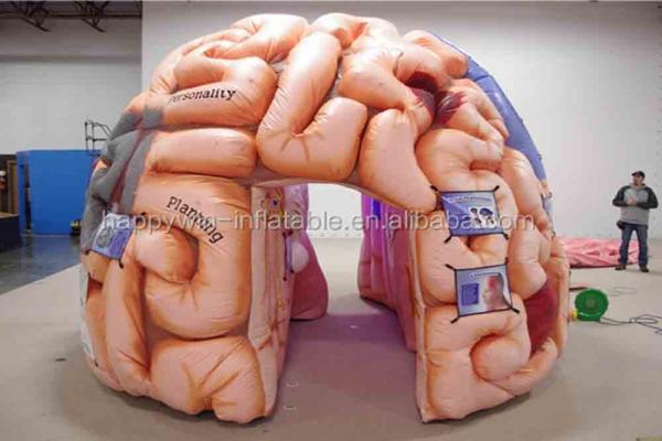 Inflatable Brain Model Tent Inflatable Medical Conferences Exhibitions - Mega