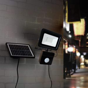 1000lumens 10W Led Solar Security Light With Motion Detector