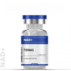 Energy Booster Coenzyme I Nad+ Nicotinamide Adenine Dinucleotide Lyophilized Powder For IV Infusion