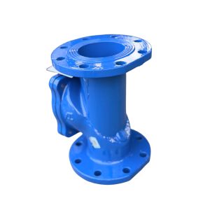 China Durable Rubber Flap Check Valve for Efficient Flow Control wholesale