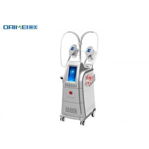 China 650nm Wavelength Cryo Lipo Machine , Radio Frequency Skin Tightening Machine supplier