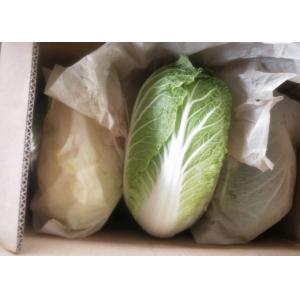 China Green Color Organic Chinese Cabbage Big Size Japan Standard Own Bases supplier