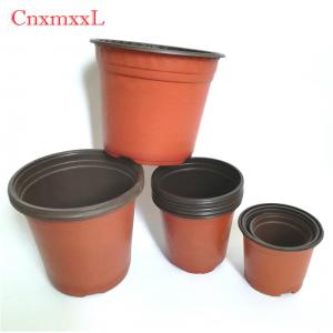 Greenhouse Using Bicolored Small Plastic Flower Nursery Pots For Seeds