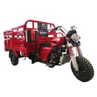 China 175cc Engine 2021 Chongqing DaYang Motorized Cargo Tricycle for Multiple Applications on sale