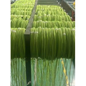 Patch Cord Fiber Optic Cable SC/LC/ST LSZH PVC  Jacket OM1 OM2 OM3 OM4  for Networking