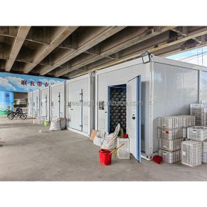 China マルチ層温室保温板 培養キット wholesale