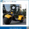 New customized 1000W citycoco 18*9.5 big two wheels electric scooter harley