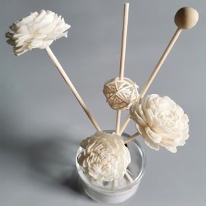 China Home Fragrance Preserved Reed Diffuse Dried Sola Flower Reed Diffuser with Cotton Wick on sale