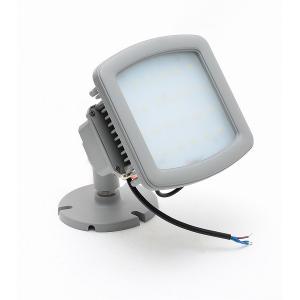 China UL844/CUL/DLC C1D2 five years warranty IP68 outdoor explosion proof floodlight supplier
