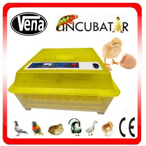 China Mini egg incubator 48pcs/ quail incubator mini poultry incubator machine for hatching eggs on sale 