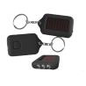 China Eco Friendly Solar Panel Keychain With White LED Light And Split Ring wholesale