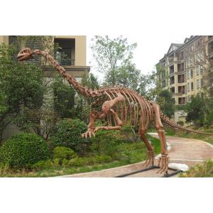 Vivid Complete Dinosaur Skeleton Bones For Science And Technology Museum