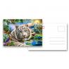 China Animial Image 3d Lenticular Card For Children With Tiger wholesale