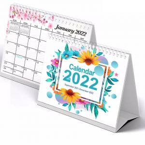 China Paper Printable Desk Calendar 365 Day Plan Wall Calendar Printing supplier