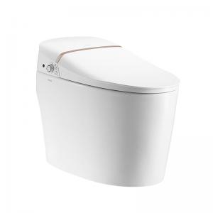 Air Dry Functional Modern Smart Toilet , Siphonic Self Heating Toilet Seat